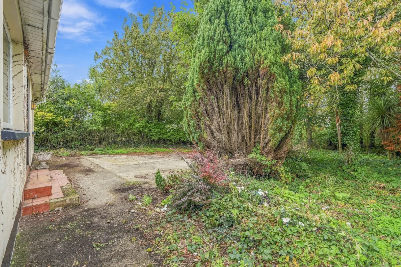 Photo of Cronyhorn, Ballymore, Ferns, Co. Wexford, Y21R5D2
