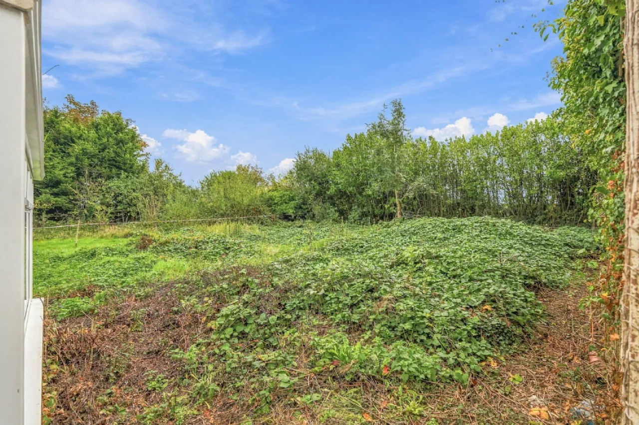Photo of Cronyhorn, Ballymore, Ferns, Co. Wexford, Y21R5D2