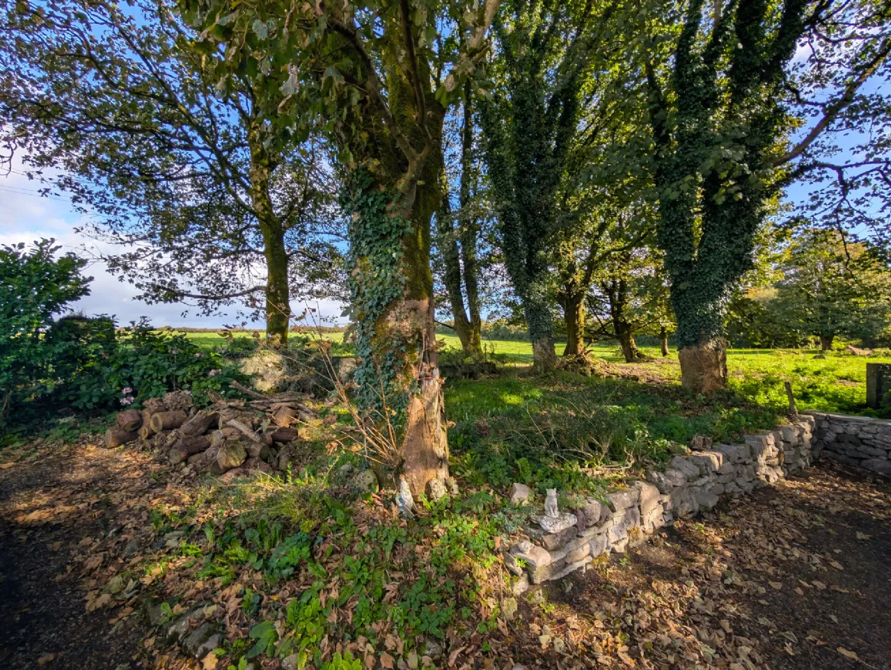 Photo of Mountaincommon, Aghamore, Ballyhaunis, Co Mayo, F35 XF82