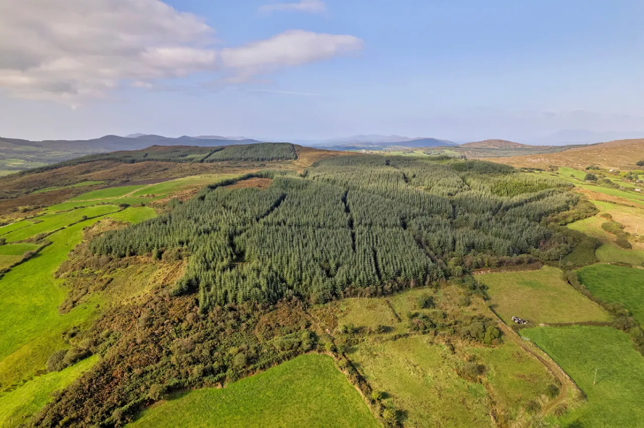 Photo of Colomane East, Bantry, Co. Cork, P75 EF61