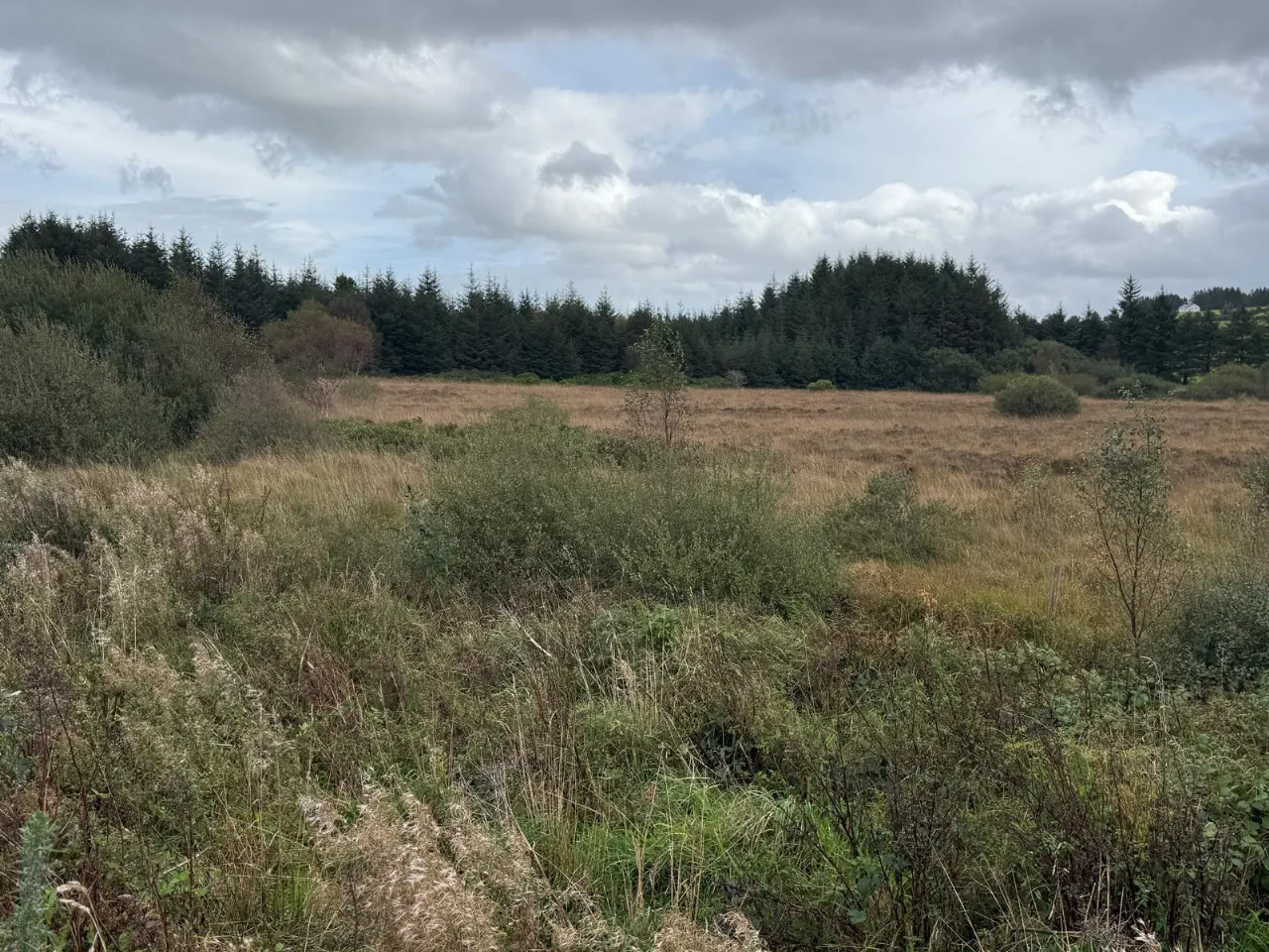 Photo of 9.58 Acres Agricultural Land, Mastergeeha, Kilcummin, Killarney, Co. Kerry