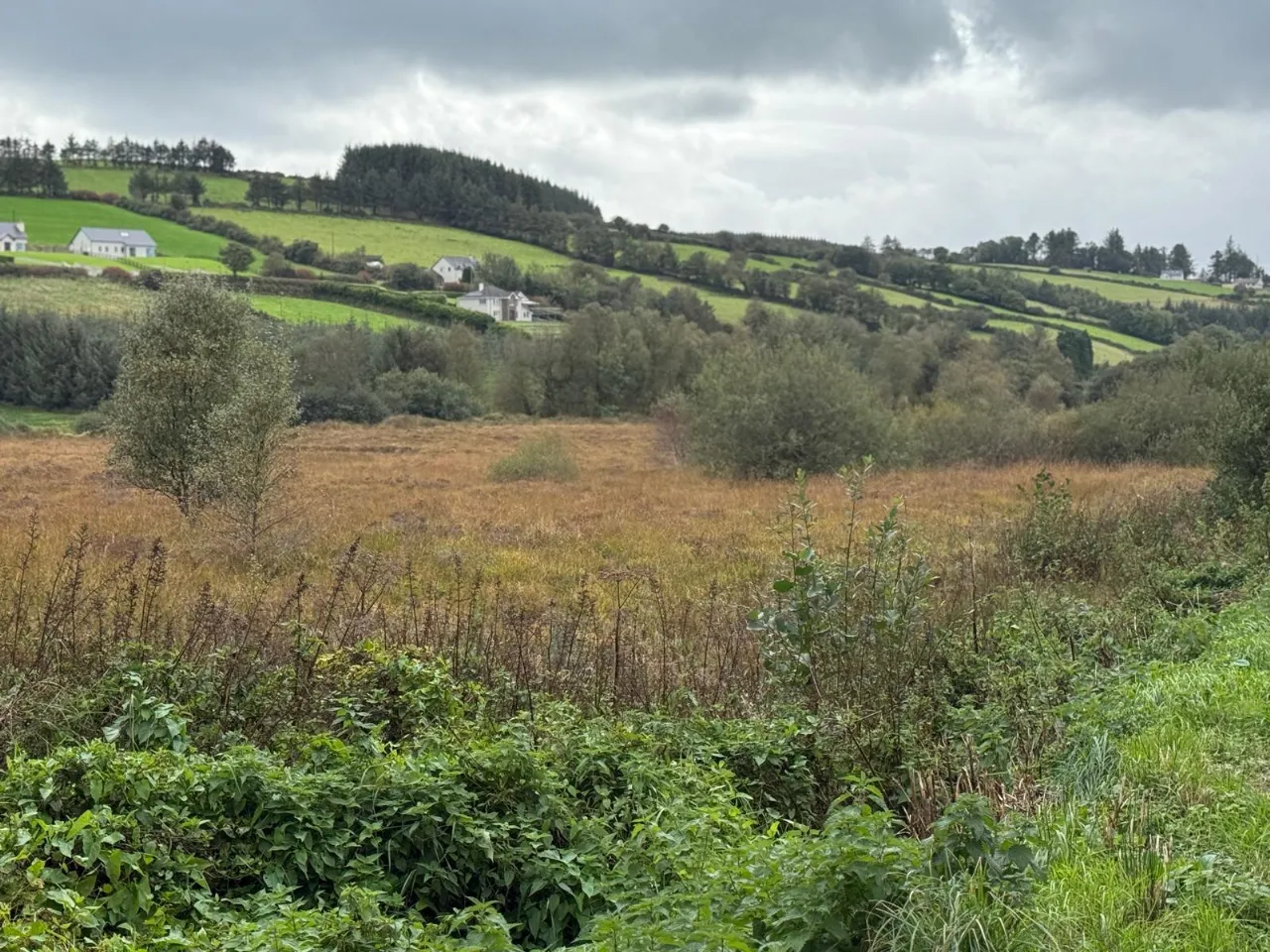 Photo of 9.58 Acres Agricultural Land, Mastergeeha, Kilcummin, Killarney, Co. Kerry