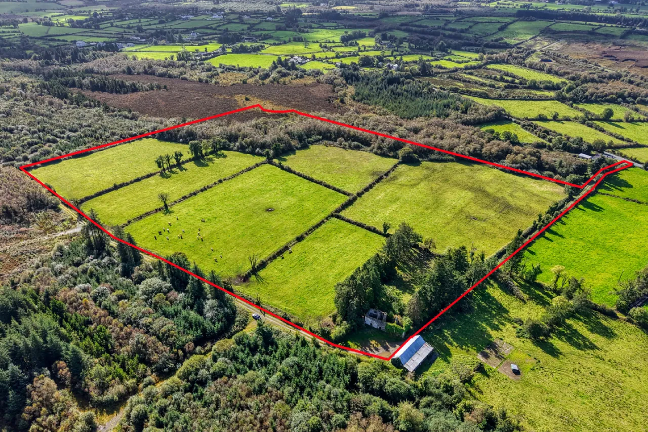 Photo of Annaghdaniel, Aughnacliffe, Co. Longford