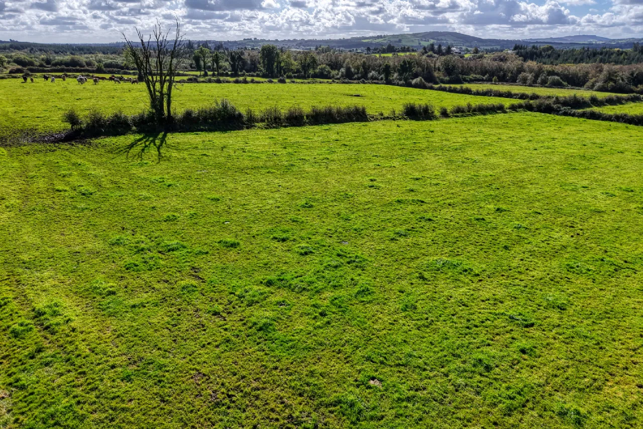 Photo of Annaghdaniel, Aughnacliffe, Co. Longford