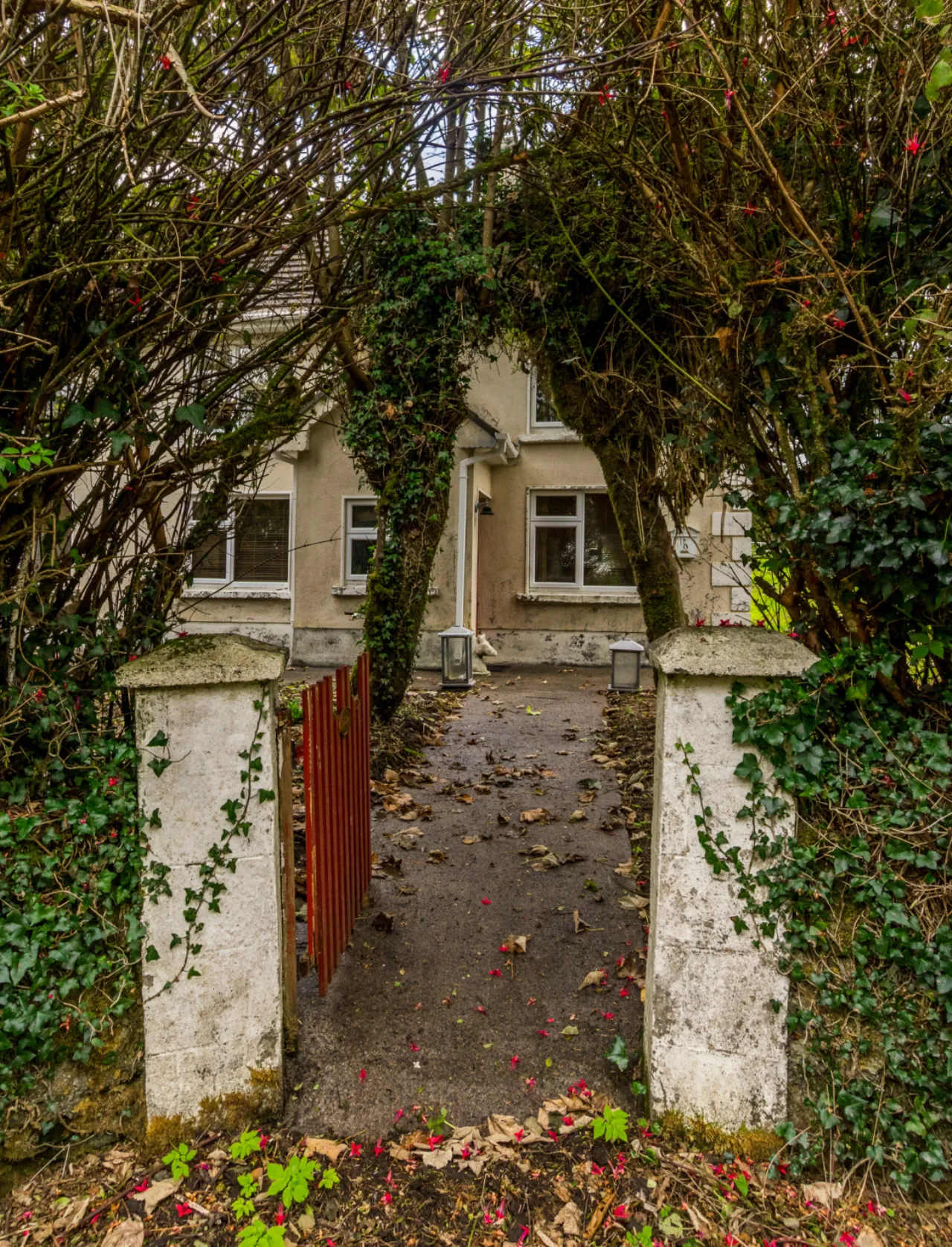 Photo of Mount Mary, Ballygar, Co Galway, F42 E361