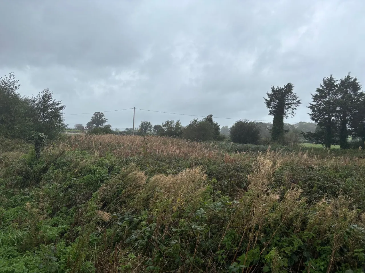 Photo of 0.96 Acre Site, Harristown,, Graiguemanagh,, Co. Carlow