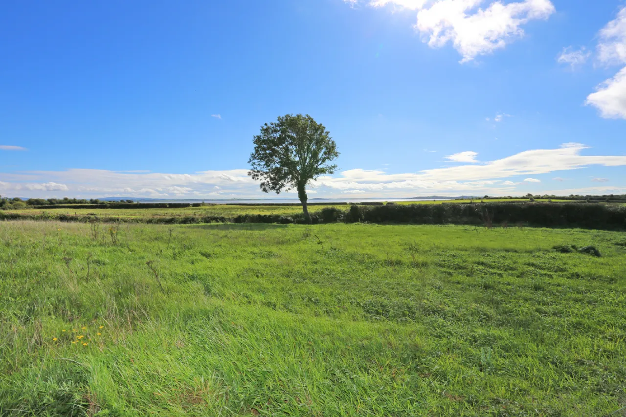 Photo of Lands At Lisheen, Ballynacally, Ennis, Co Clare