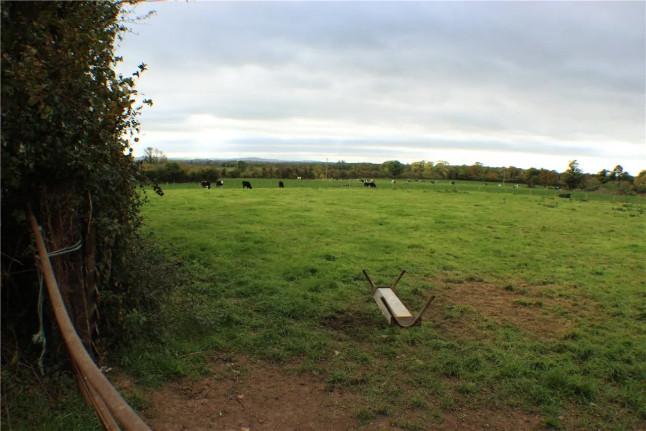 Photo of Laffina, Clonoulty, Cashel, Co Tipperary, E25X292