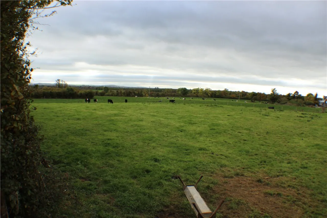 Photo of Laffina, Clonoulty, Cashel, Co Tipperary, E25X292