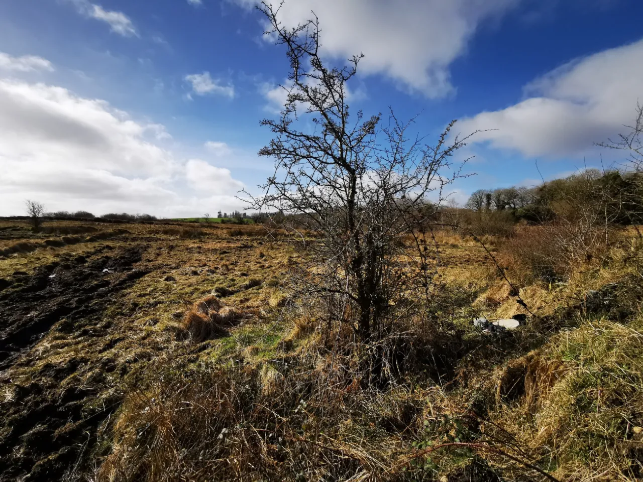 Photo of Cuildoo, Killasser, Swinford, Co. Mayo