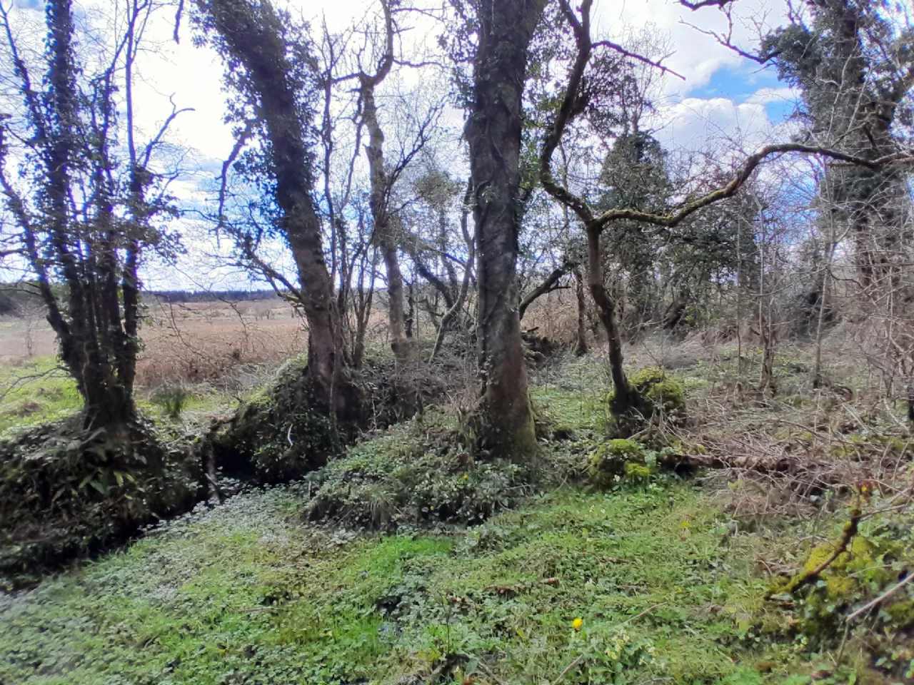 Photo of Cornageeha, Killasser, Swinford, Co Mayo