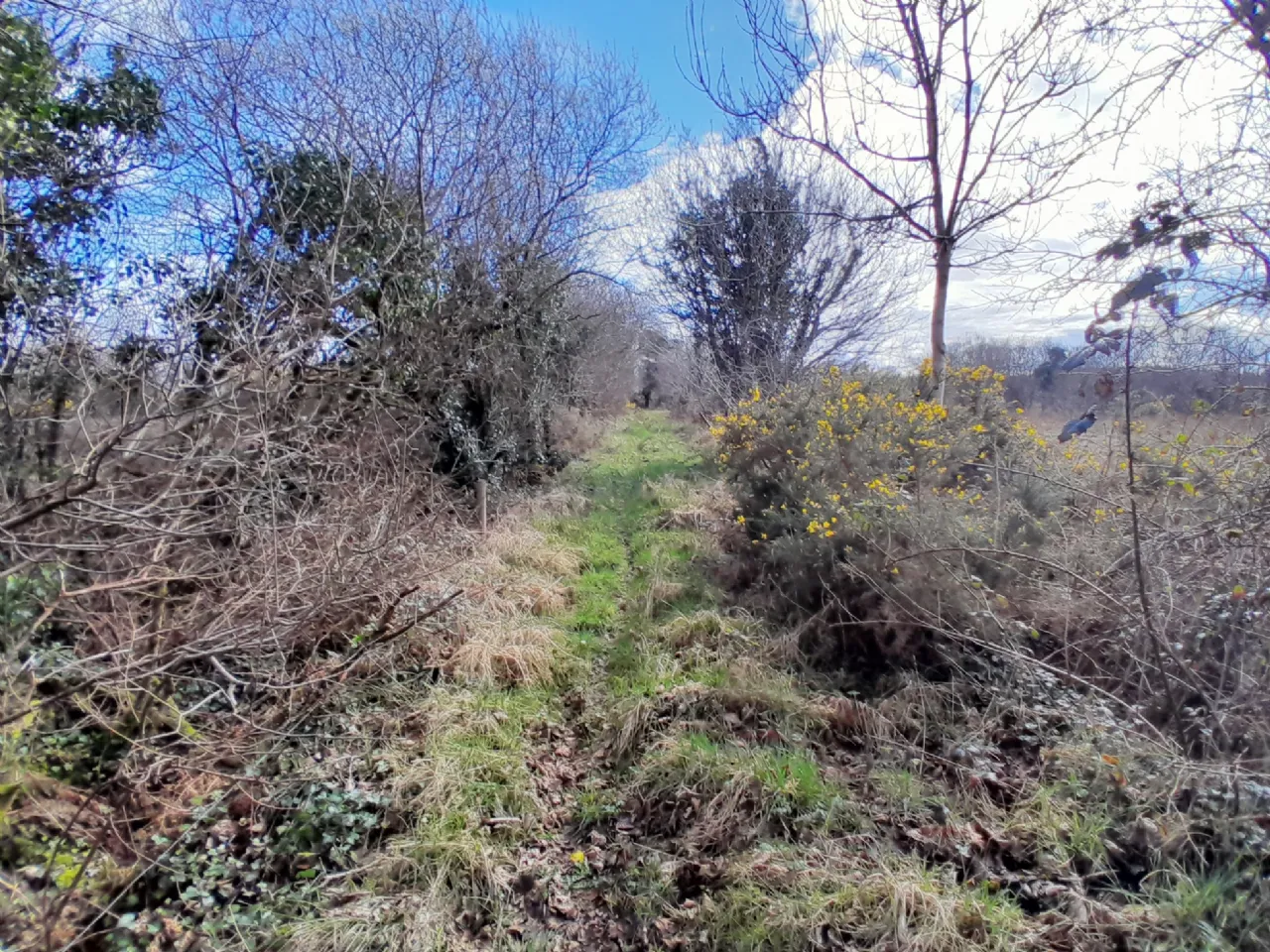 Photo of Cornageeha, Killasser, Swinford, Co Mayo