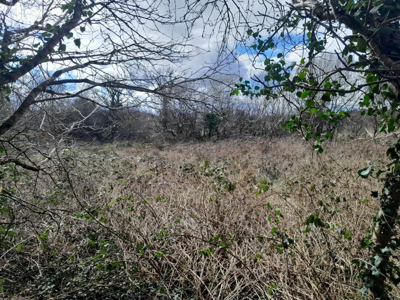 Photo of Cornageeha, Killasser, Swinford, Co Mayo