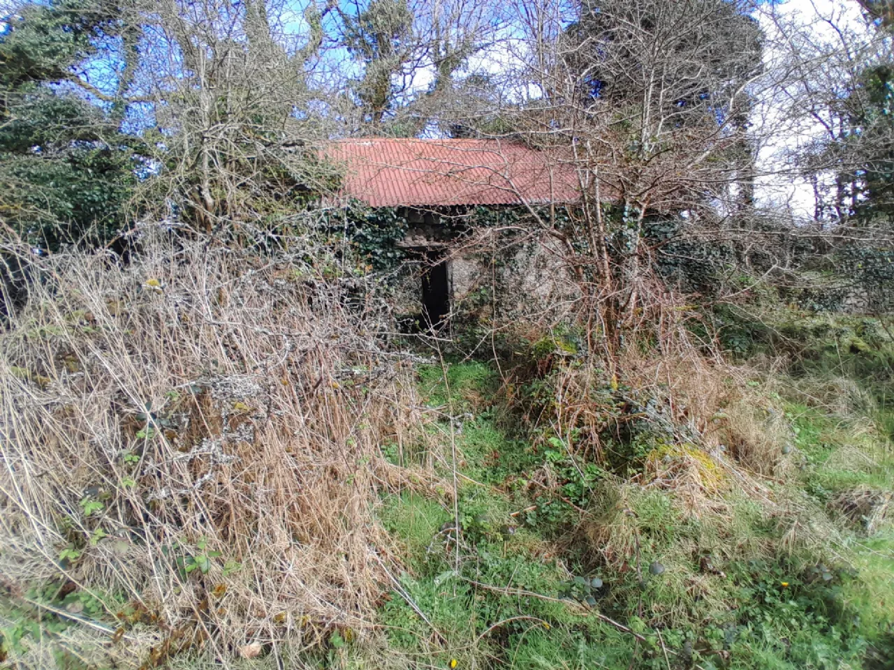 Photo of Cornageeha, Killasser, Swinford, Co Mayo