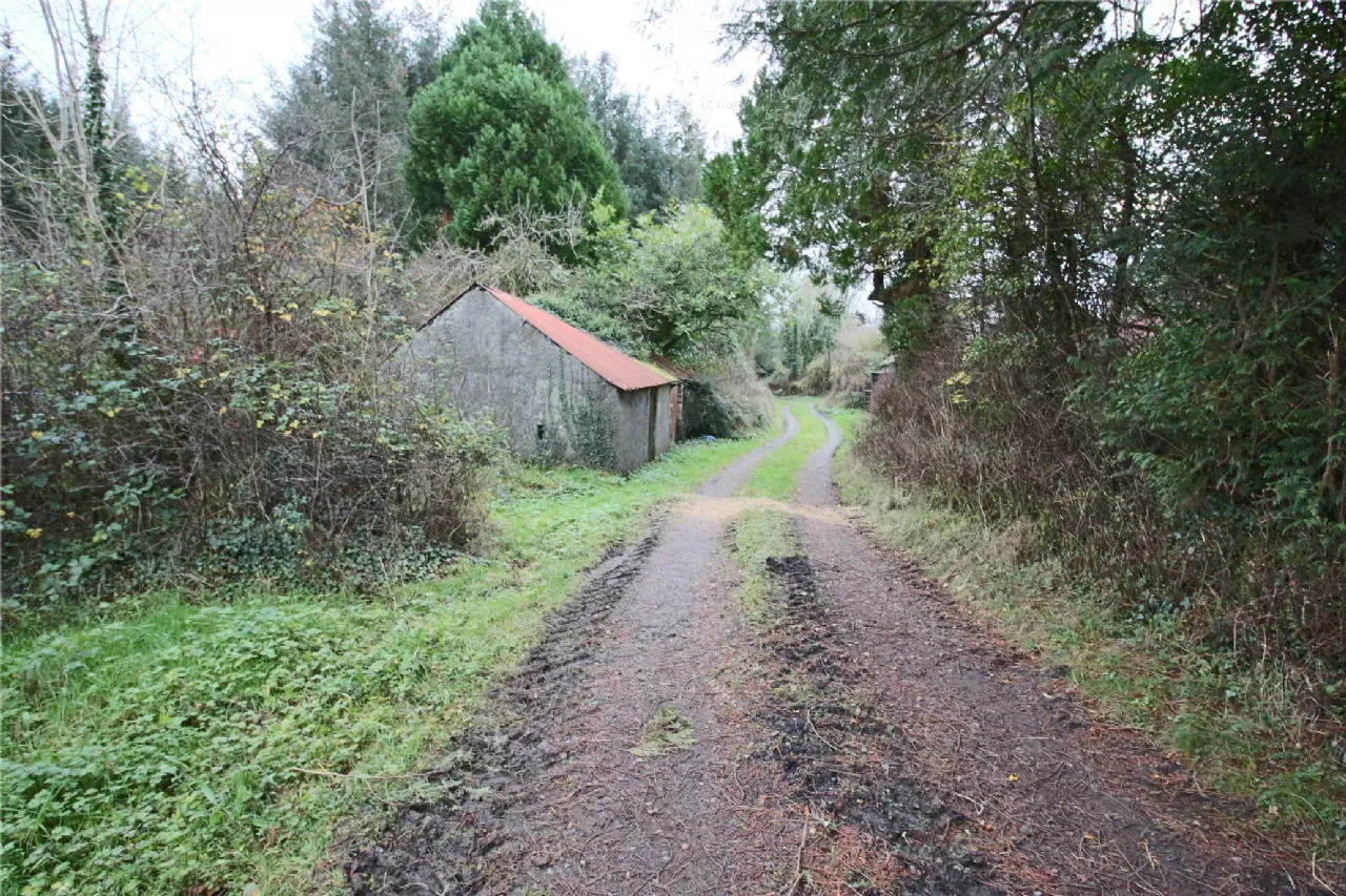 Photo of Cleaheen and Derreenannagh,, Cootehall, Boyle, Co Roscommon, F52 DE24