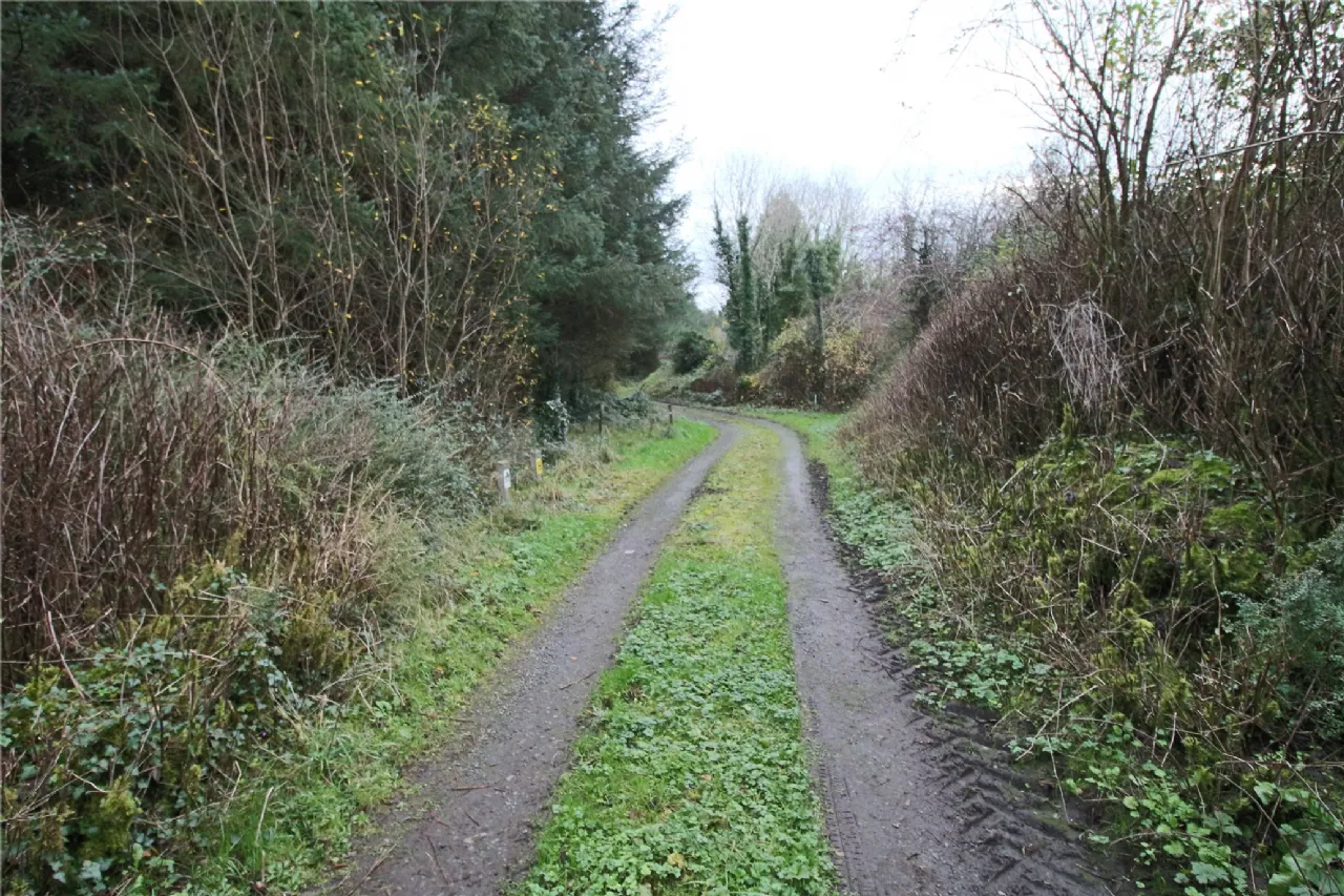 Photo of Cleaheen and Derreenannagh,, Cootehall, Boyle, Co Roscommon, F52 DE24