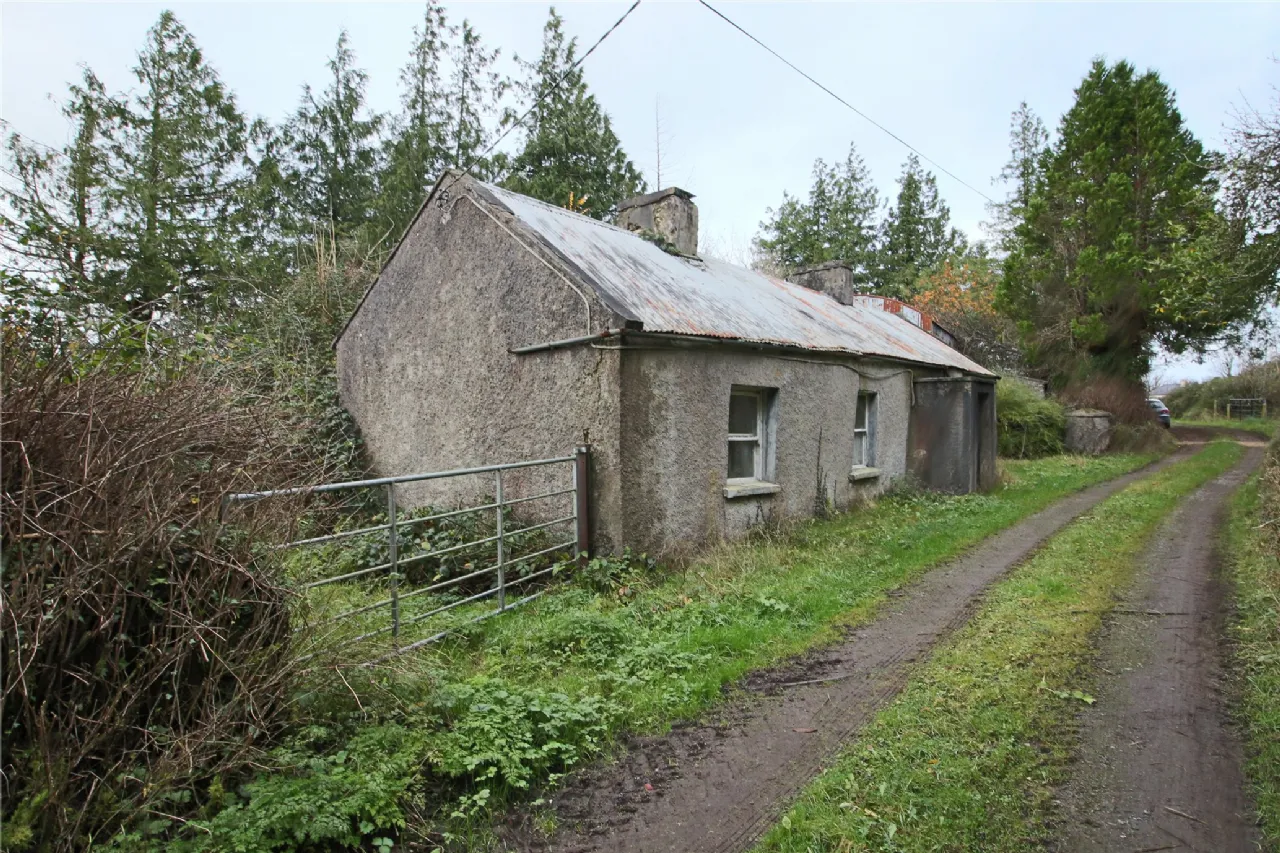 Photo of Cleaheen and Derreenannagh,, Cootehall, Boyle, Co Roscommon, F52 DE24