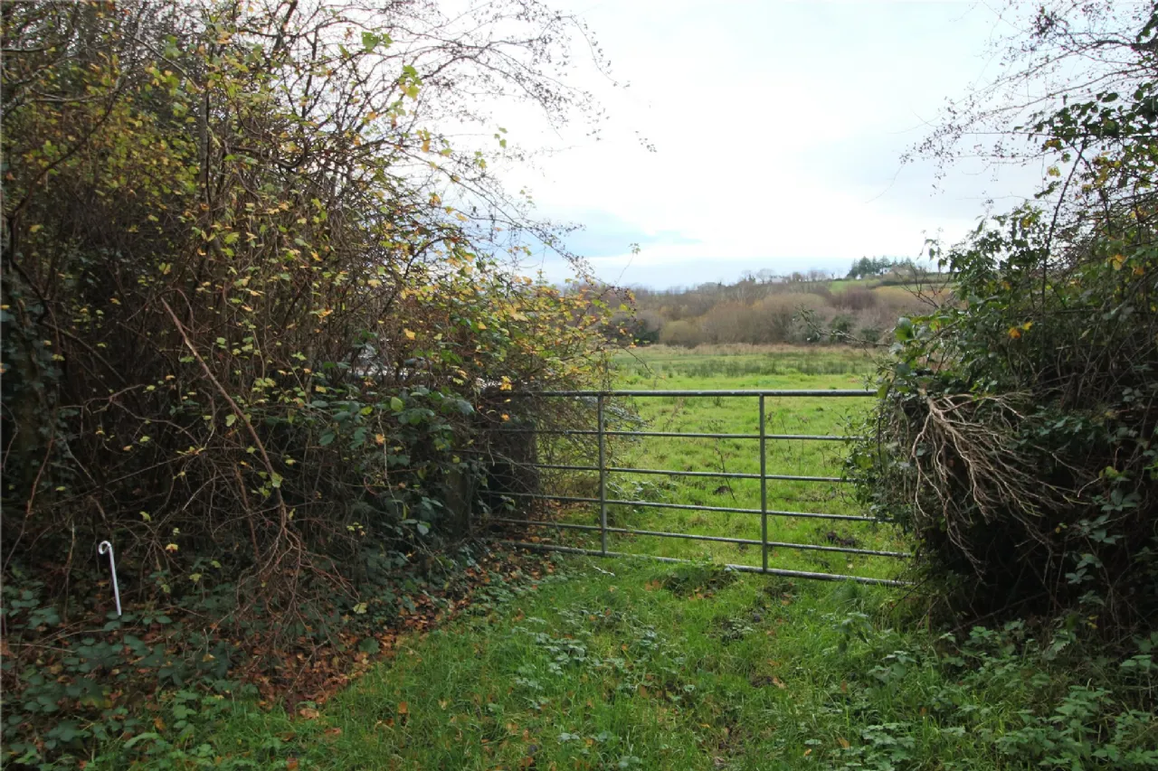 Photo of Cleaheen and Derreenannagh,, Cootehall, Boyle, Co Roscommon, F52 DE24