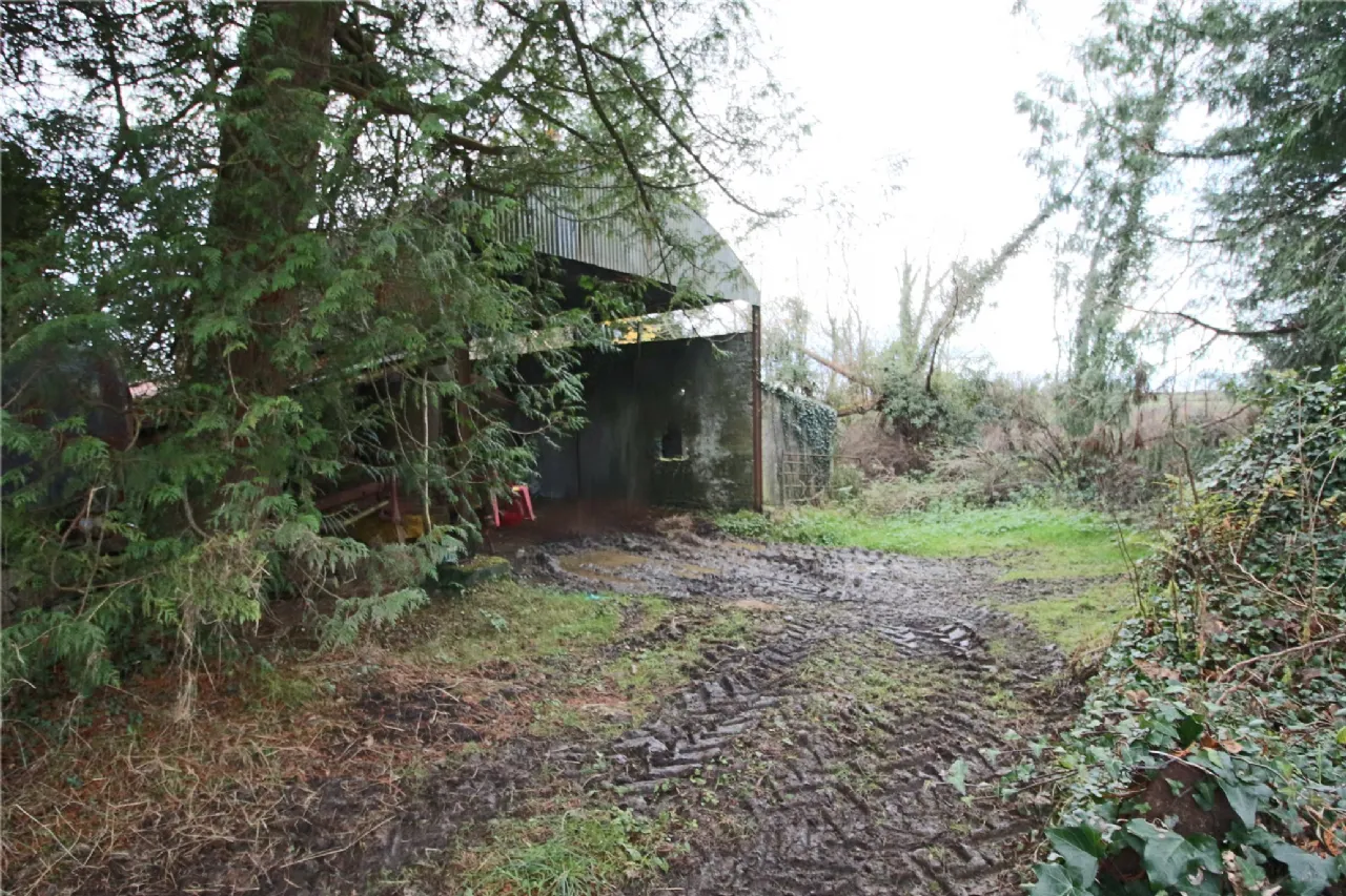 Photo of Cleaheen and Derreenannagh,, Cootehall, Boyle, Co Roscommon, F52 DE24