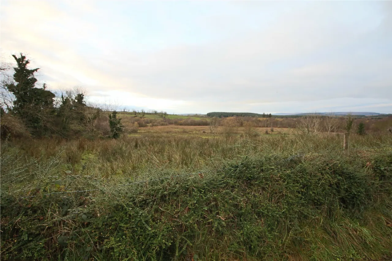 Photo of Cleaheen and Derreenannagh,, Cootehall, Boyle, Co Roscommon, F52 DE24