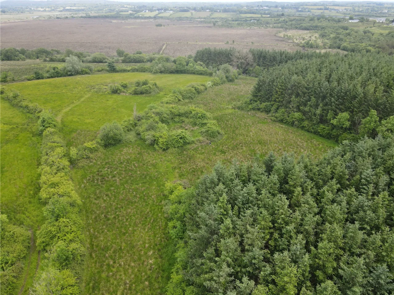 Photo of Cleaheen and Derreenannagh,, Cootehall, Boyle, Co Roscommon, F52 DE24