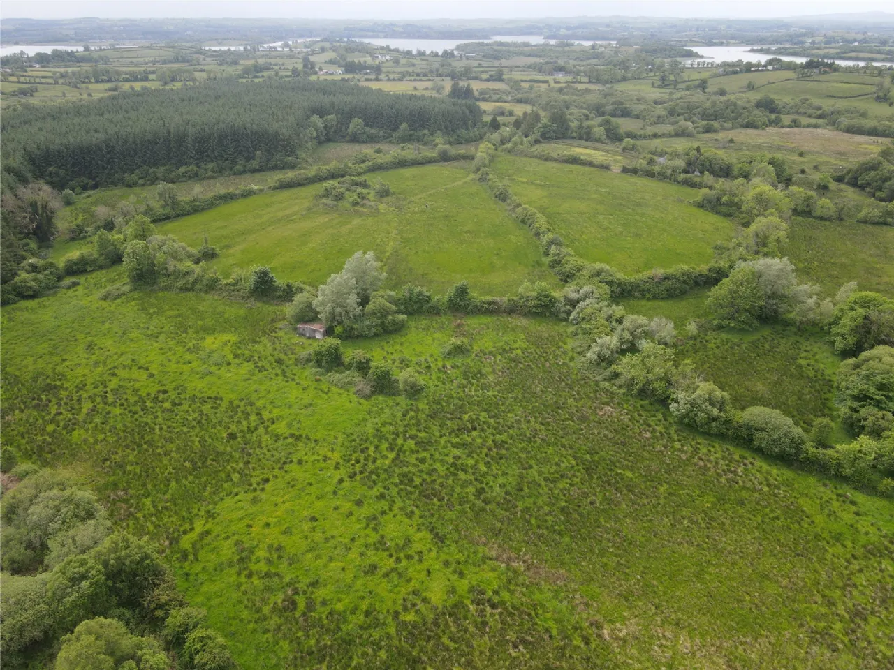 Photo of Cleaheen and Derreenannagh,, Cootehall, Boyle, Co Roscommon, F52 DE24