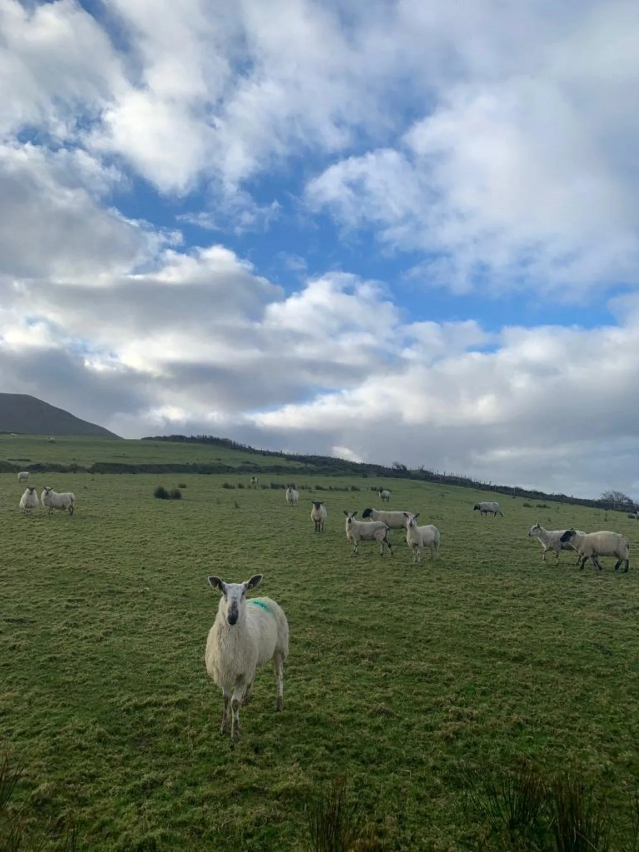 Photo of Lecanvey, Westport, Co Mayo