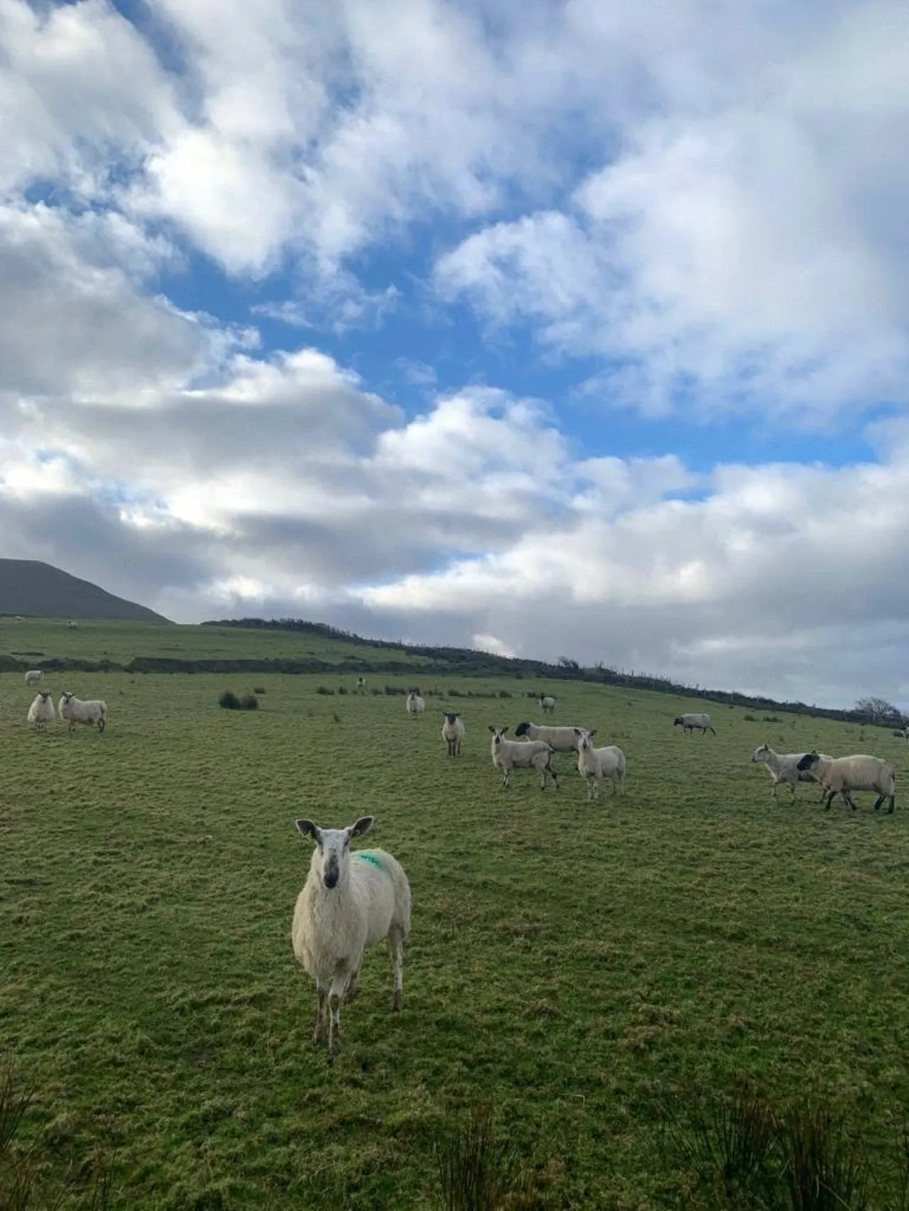 Photo of Lecanvey, Westport, Co Mayo