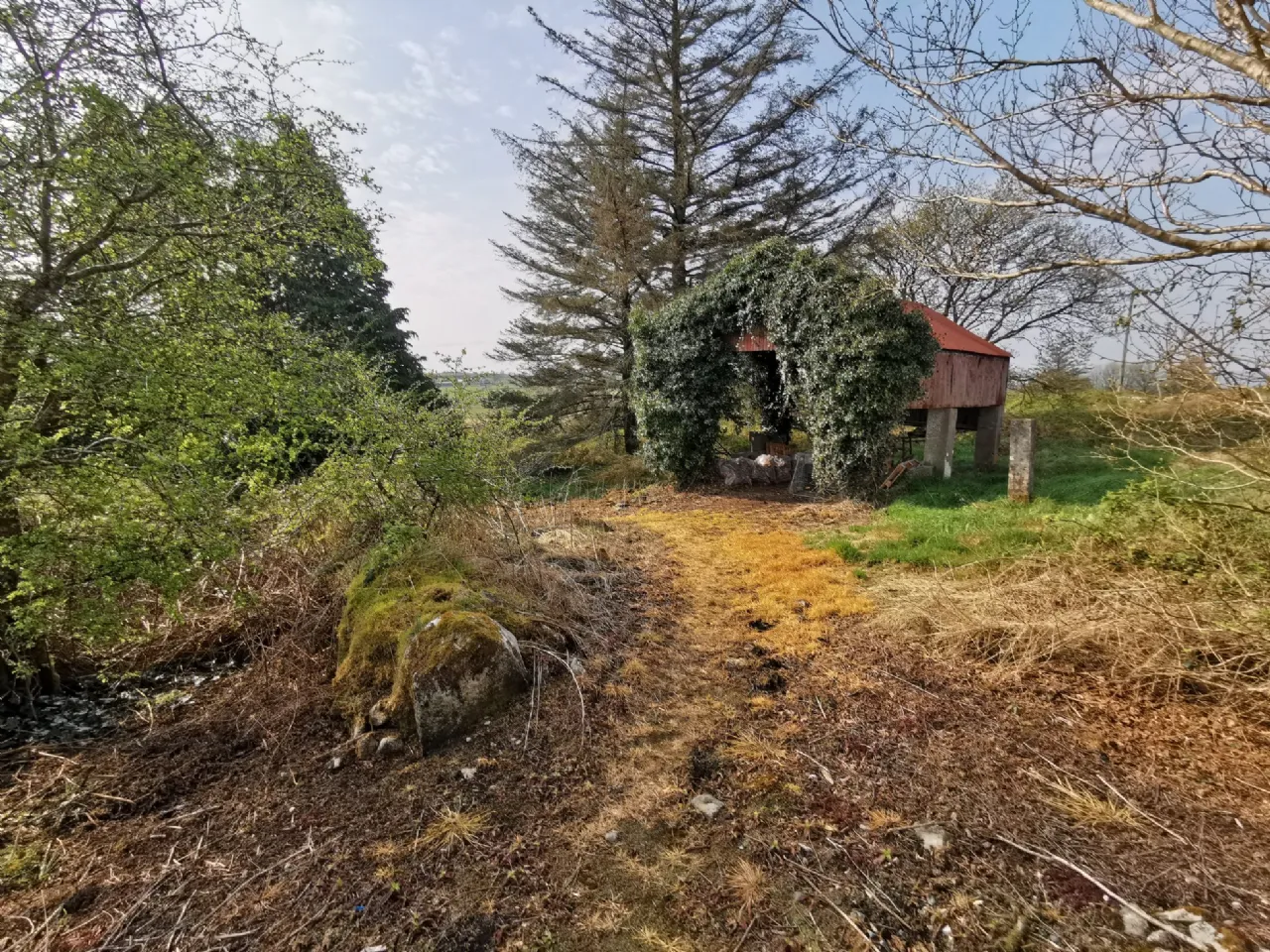 Photo of Cashelsheenaghan, Midfield, Swinford, Co Mayo
