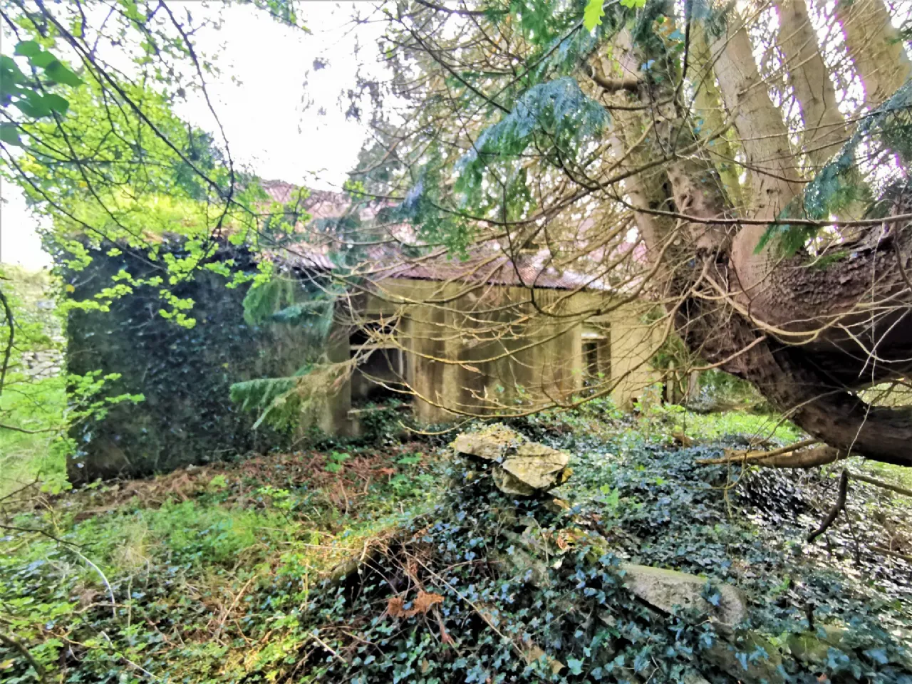 Photo of Cashelsheenaghan, Midfield, Swinford, Co Mayo
