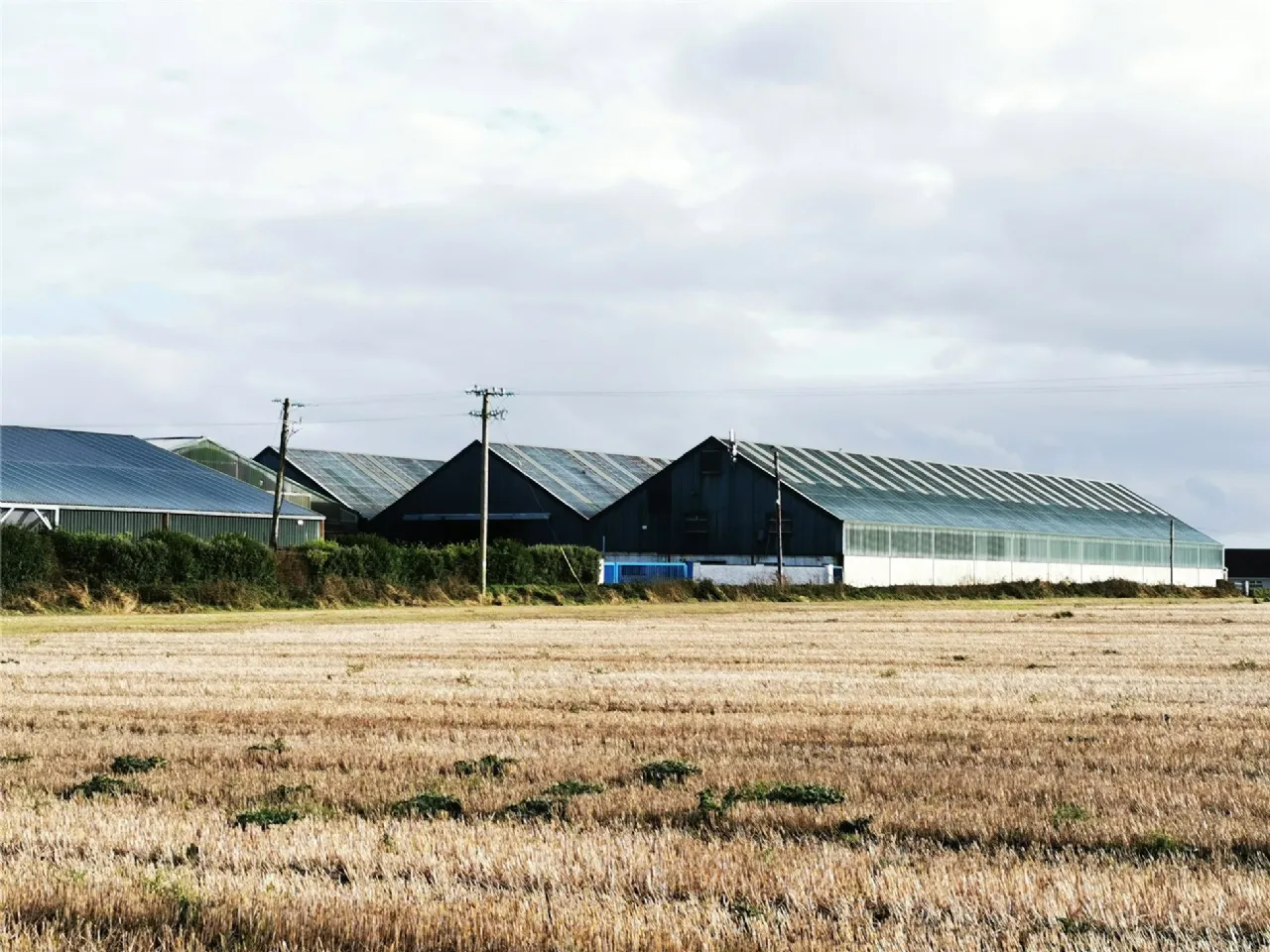 Photo of Causeway, Co. Kerry, V92 Y1RX