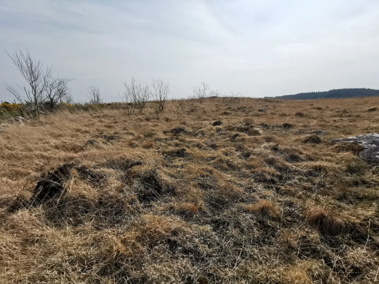 Photo of Cashelsheenaghan, Midfield, Swinford, Co Mayo