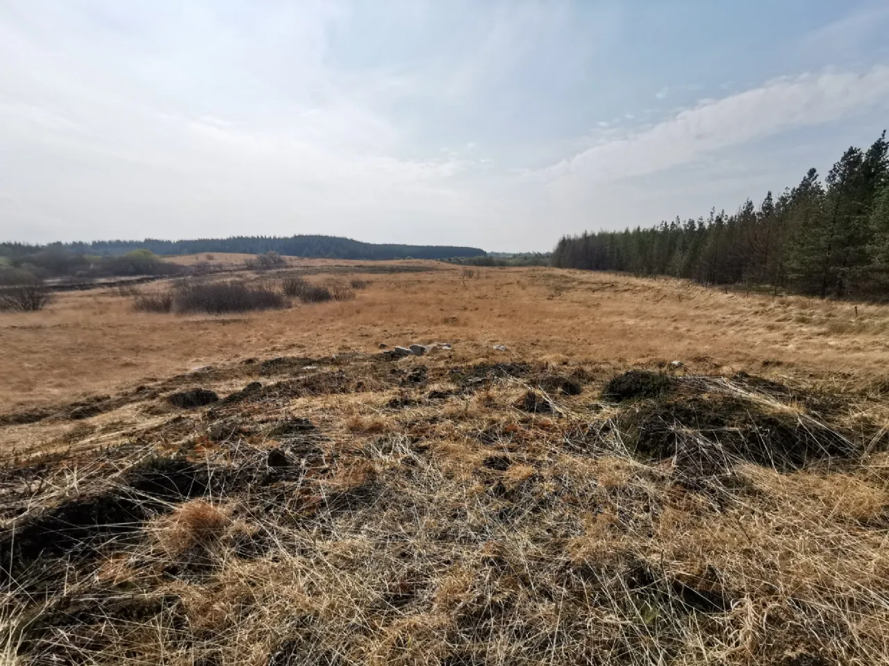 Photo of Cashelsheenaghan, Midfield, Swinford, Co Mayo
