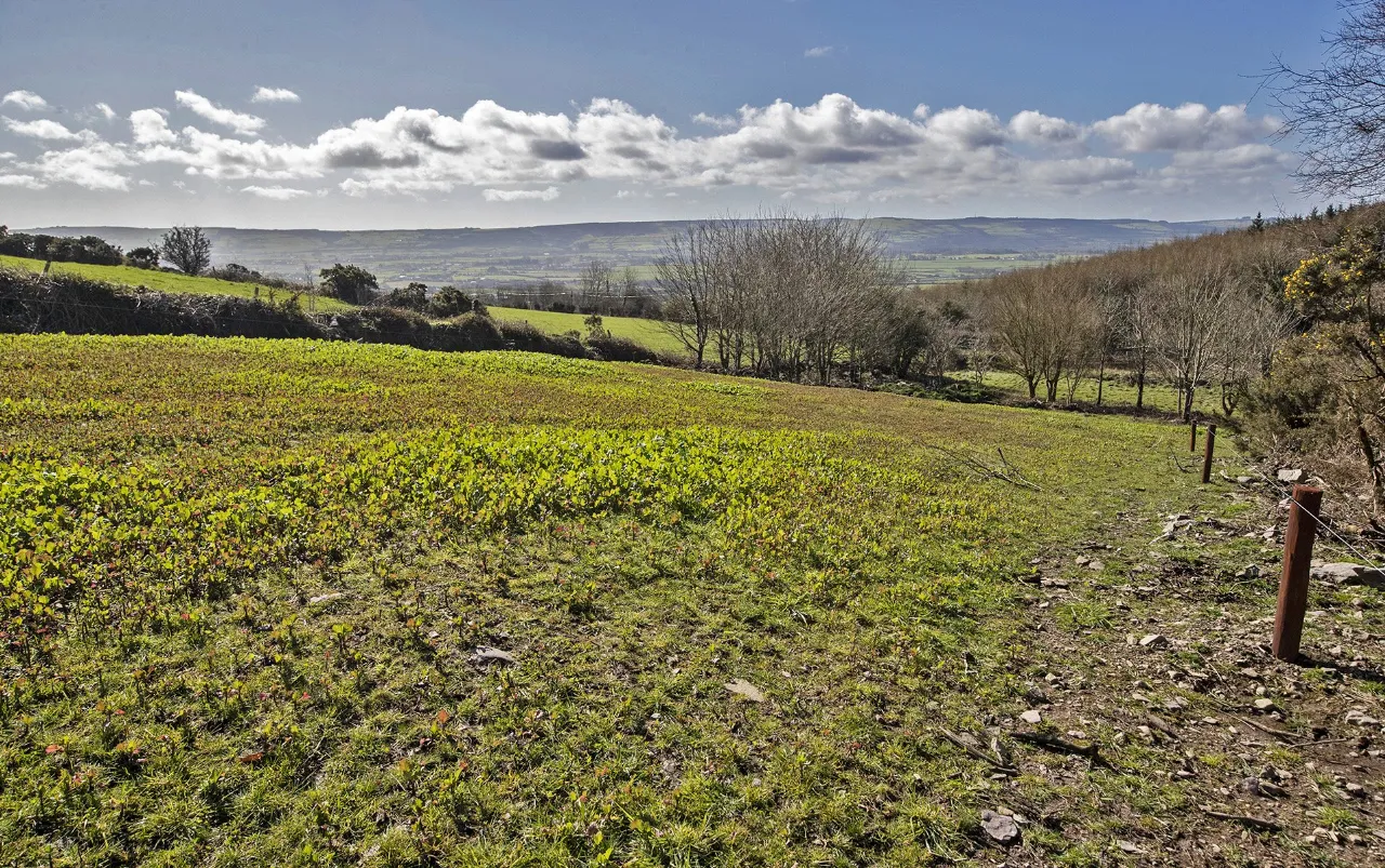 Photo of The Horse Haven, Ballyconnery Upper, Kilgobinet, Dungarvan, Co Waterford, X35EP02