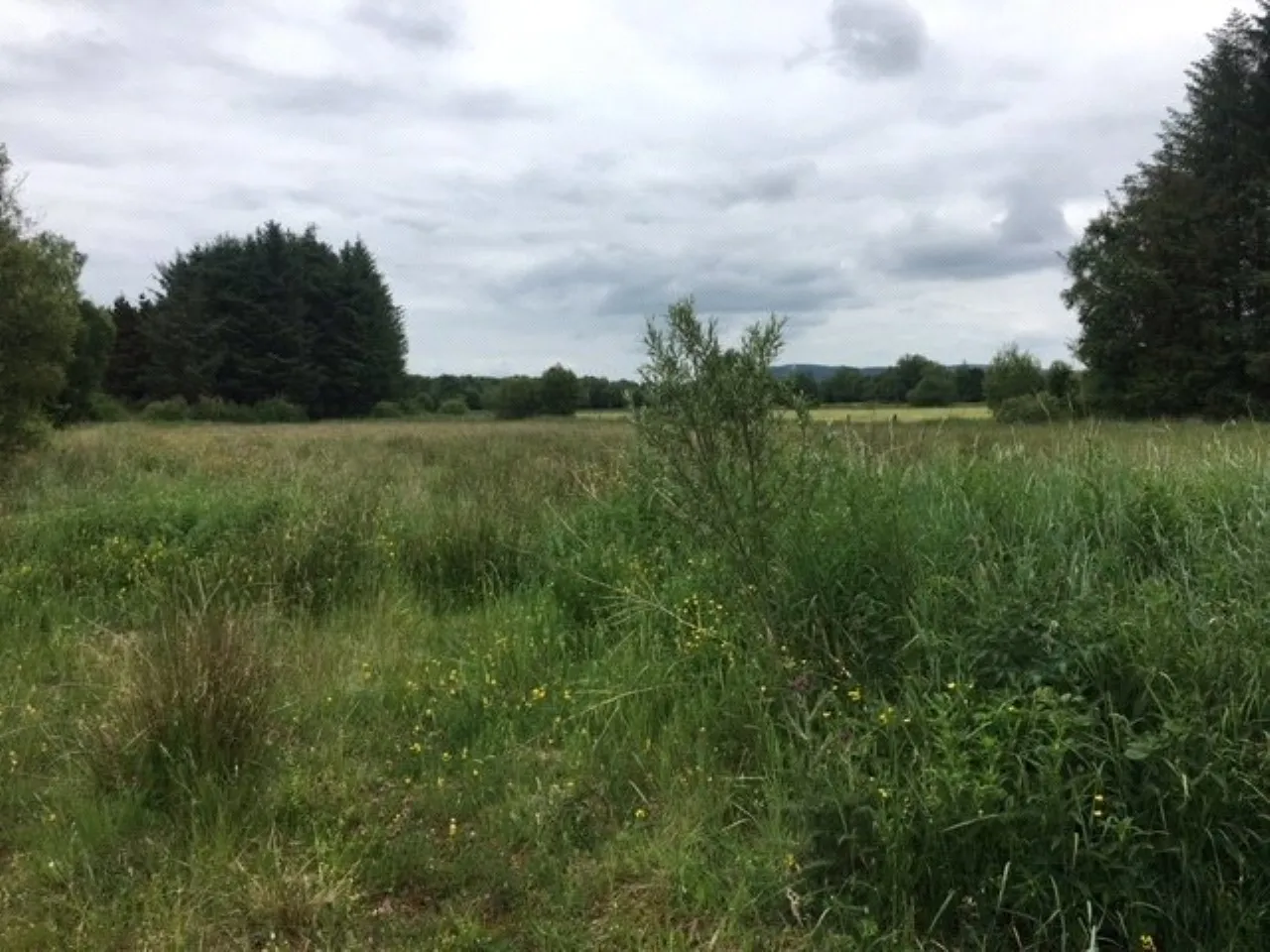 Photo of 19 Acres Land Approx, Cornacreevy, Finea, Co. Westmeath