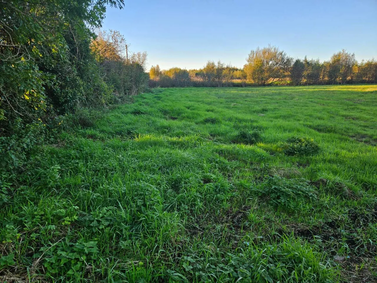 Photo of 19 Acres Land Approx, Cornacreevy, Finea, Co. Westmeath