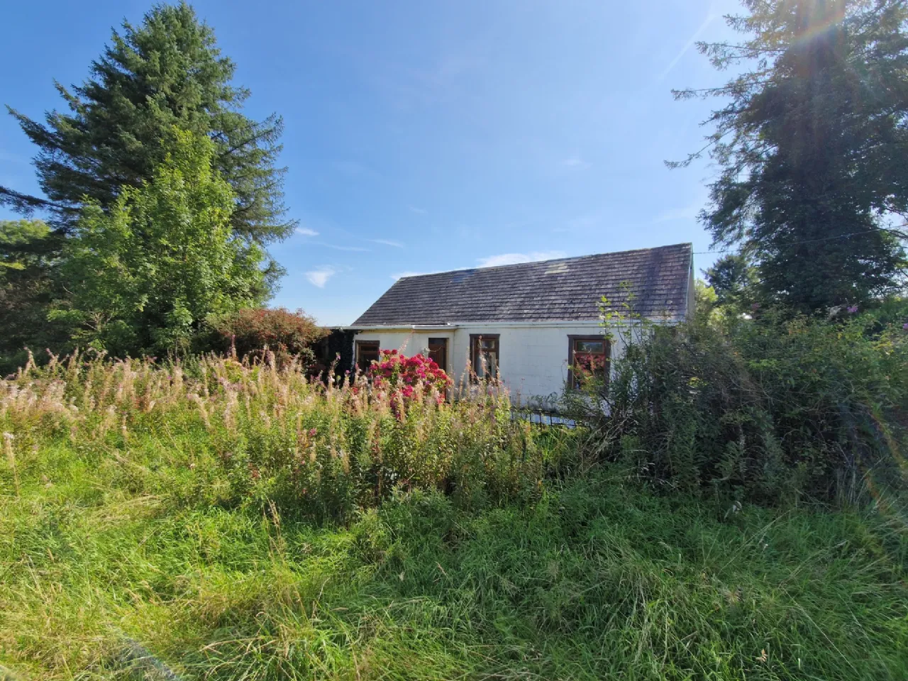 Photo of Carrowmore, Killasser, Swinford, Co Mayo, F12 A722