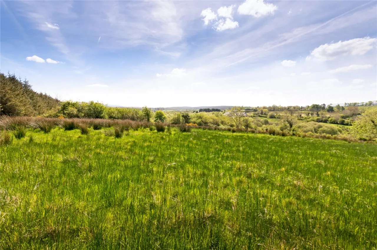 Photo of 26.30 Ha. ( 65 Acres) Approx., Cloonagh, Sooey, Co. Sligo
