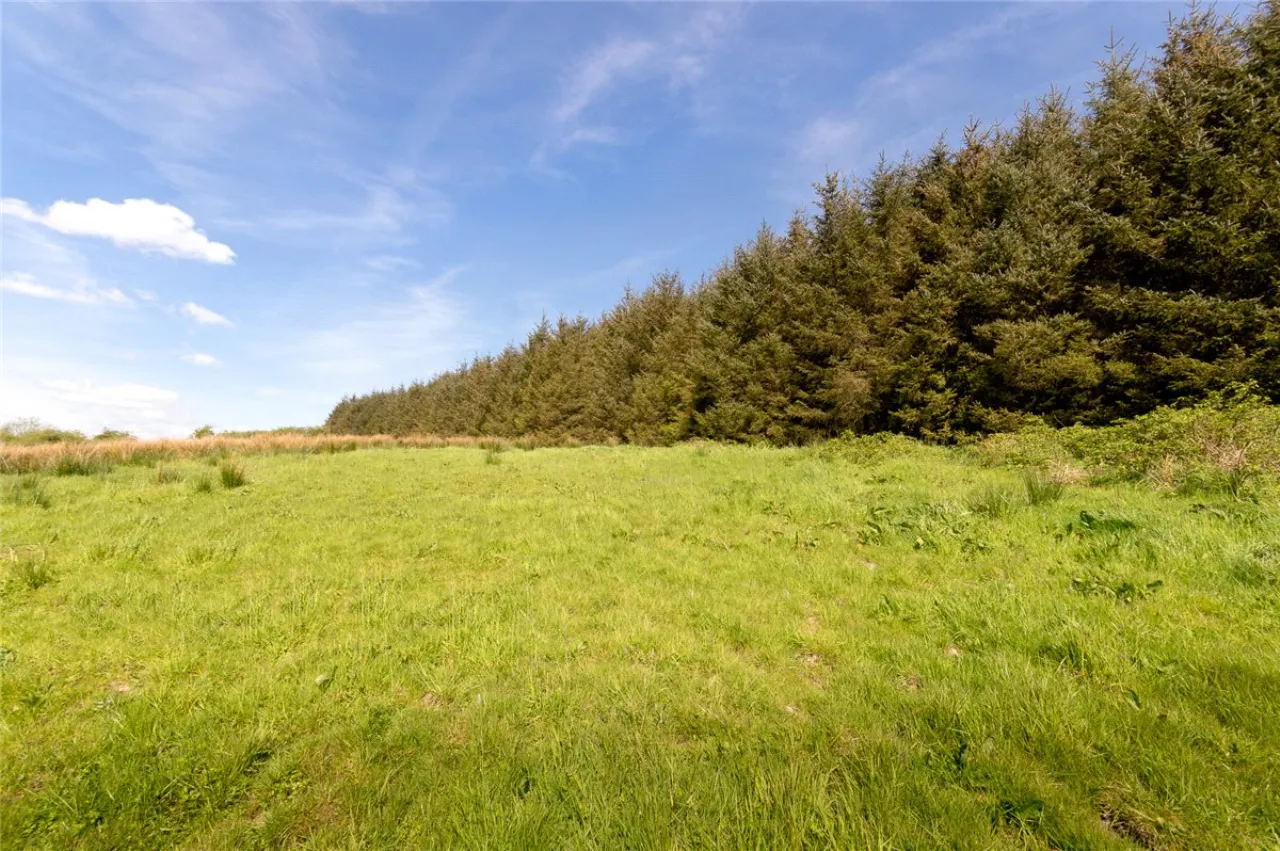 Photo of 26.30 Ha. ( 65 Acres) Approx., Cloonagh, Sooey, Co. Sligo