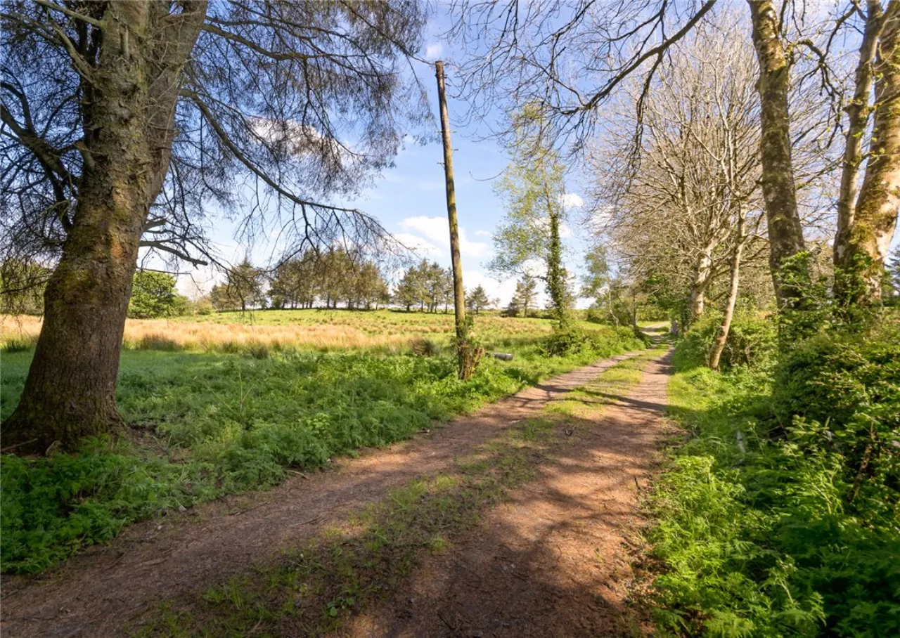 Photo of 26.30 Ha. ( 65 Acres) Approx., Cloonagh, Sooey, Co. Sligo
