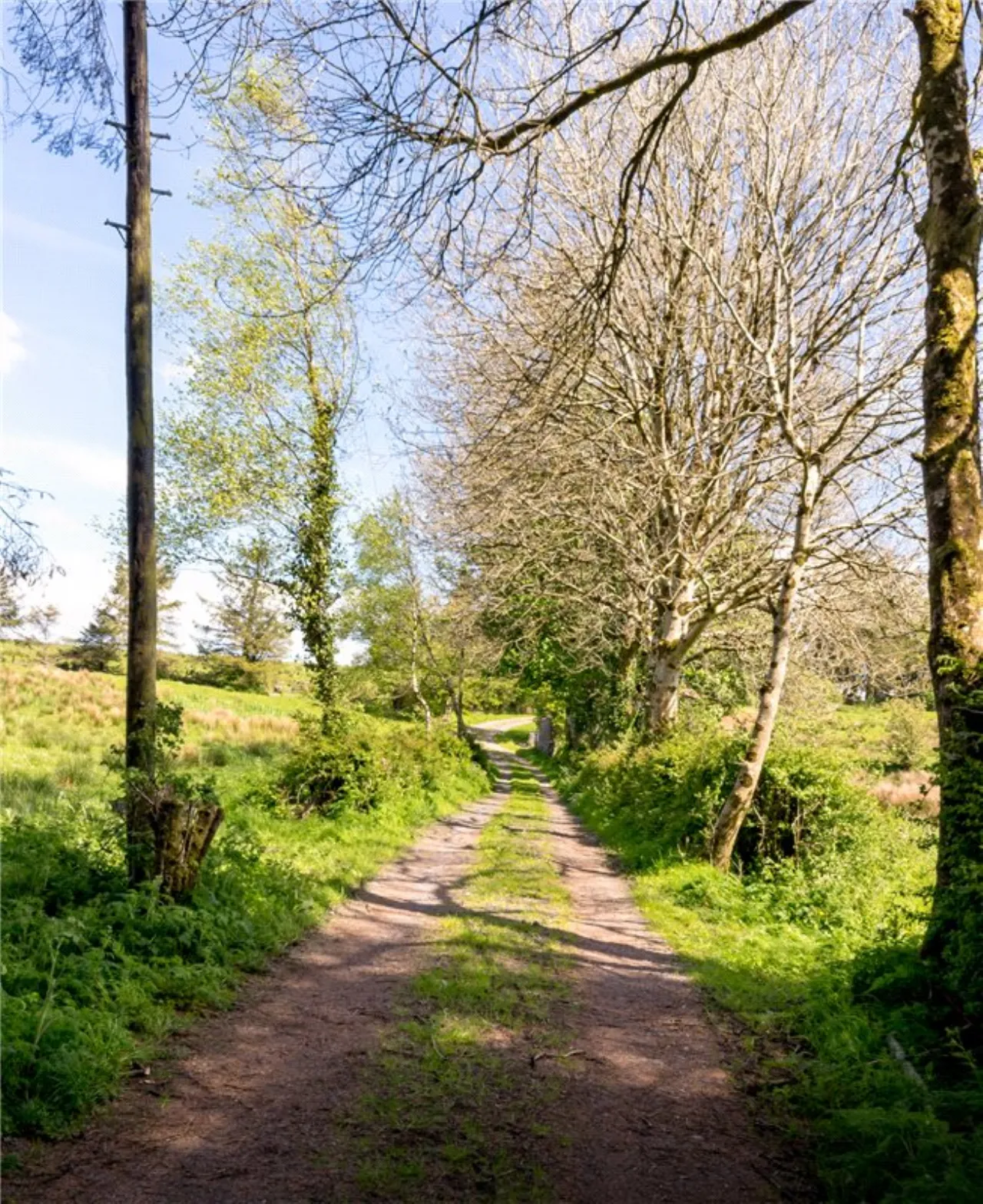 Photo of 26.30 Ha. ( 65 Acres) Approx., Cloonagh, Sooey, Co. Sligo