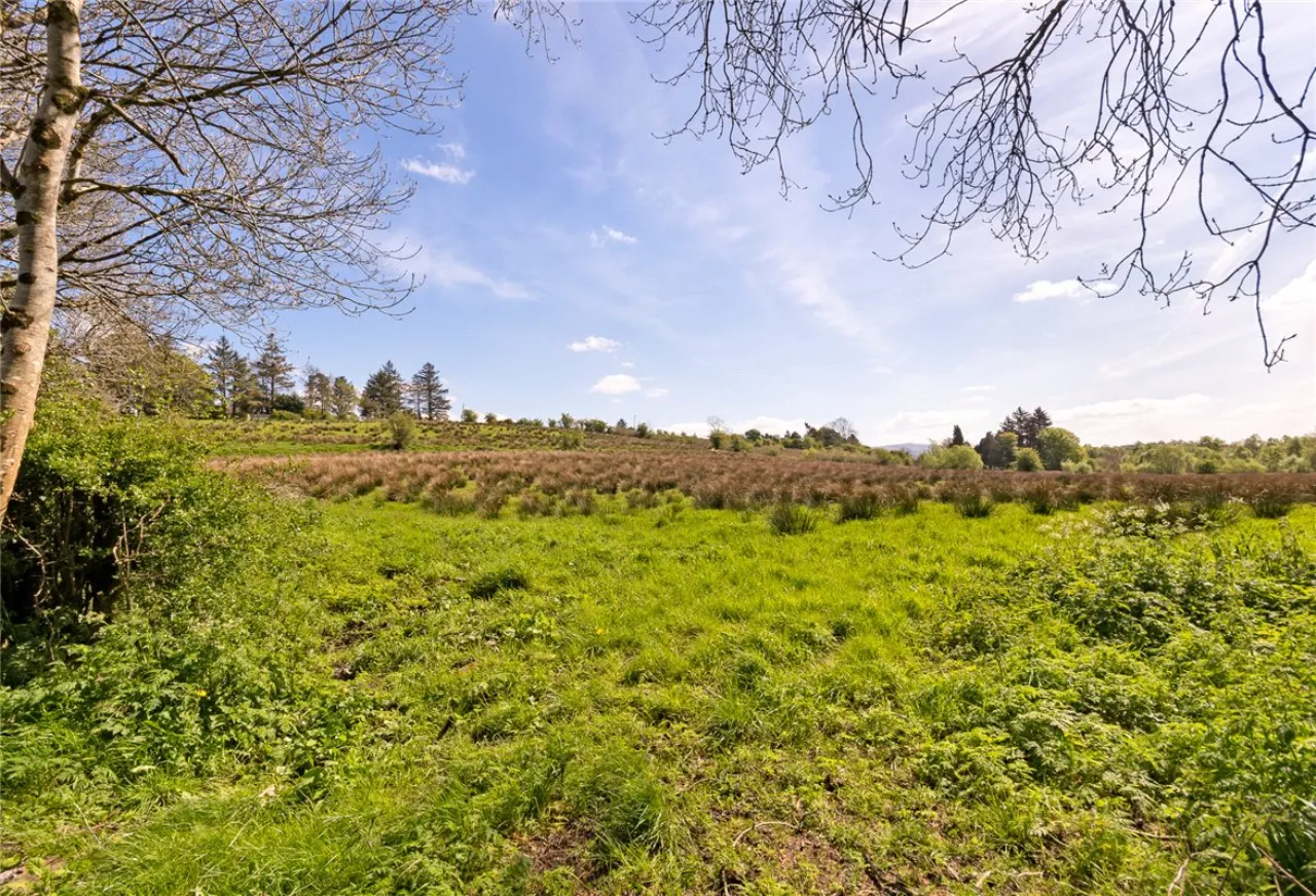 Photo of 26.30 Ha. ( 65 Acres) Approx., Cloonagh, Sooey, Co. Sligo