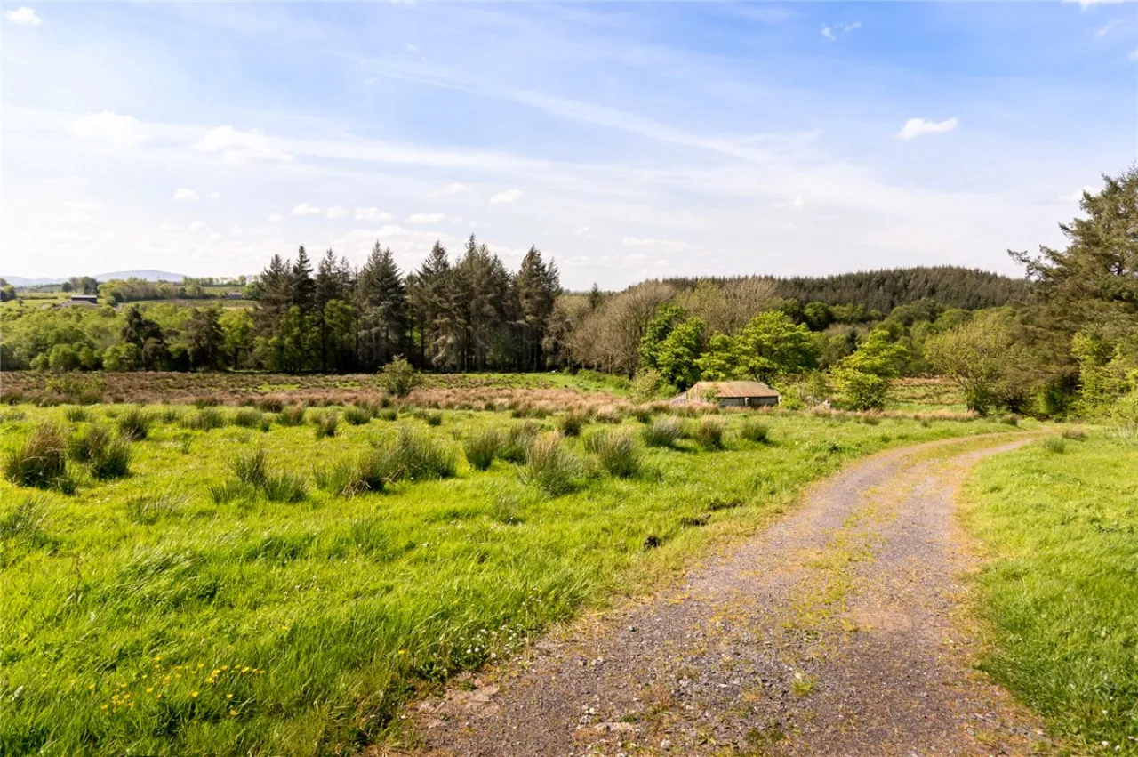 Photo of 26.30 Ha. ( 65 Acres) Approx., Cloonagh, Sooey, Co. Sligo