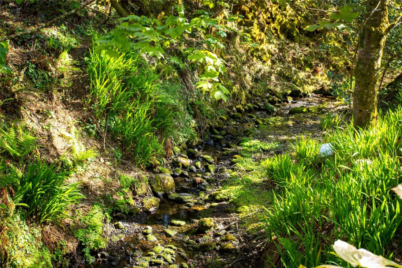 Photo of Gortnabulliga, Eyeries, Beara, Co Cork, P75 X343