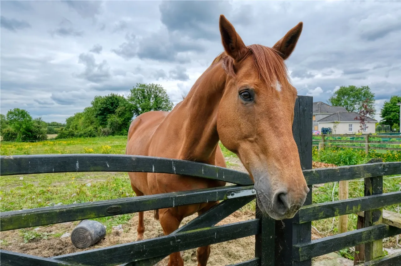 Photo of 2 An Crossaire, Enybegs, Co. Longford, N39 V272