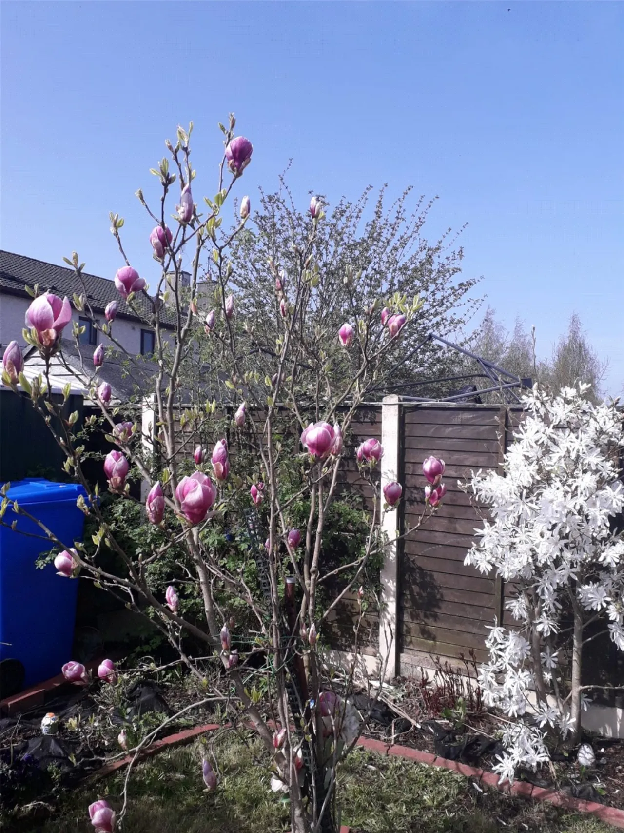 Photo of 10 Ardrew Fields, Dun Brinn, Athy, Co. Kildare, R14 N528