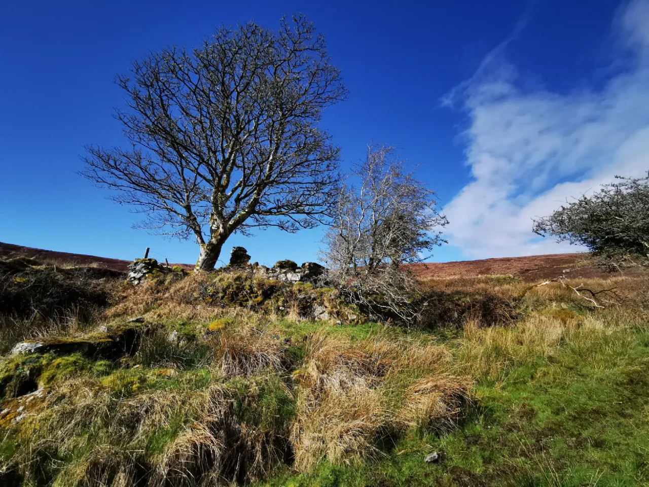 Photo of Glendubh, Foxford, Co. Mayo