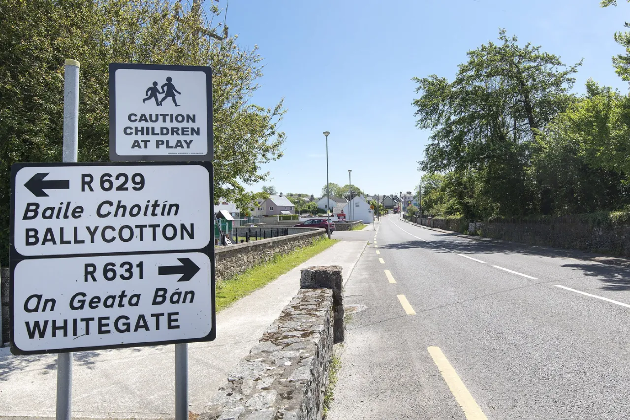 Photo of The Court, Lus an Ime, Cloyne, Co Cork, P25 P9V6