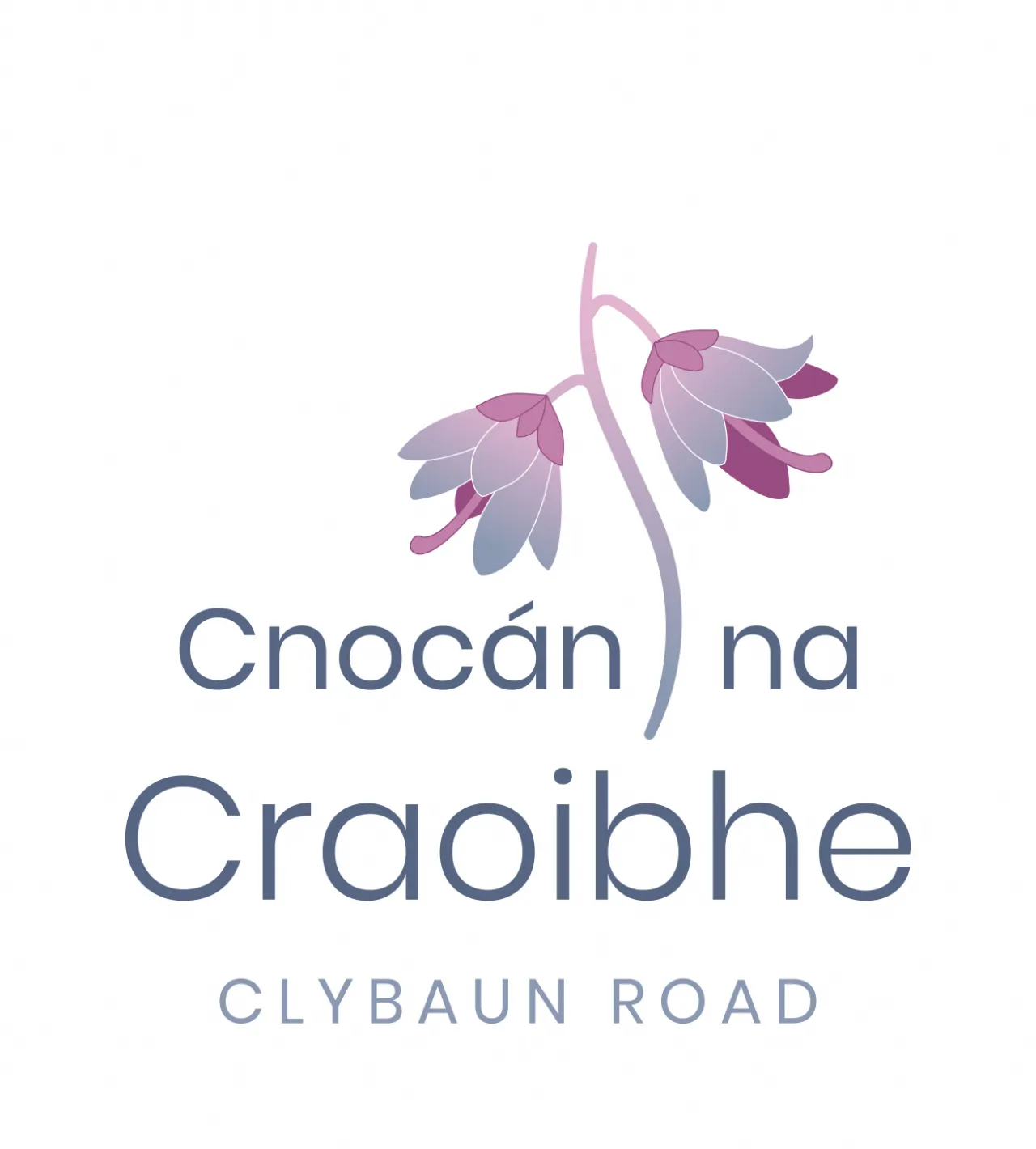 Photo of Cnocan na Craoibhe, Clybaun Road, Galway