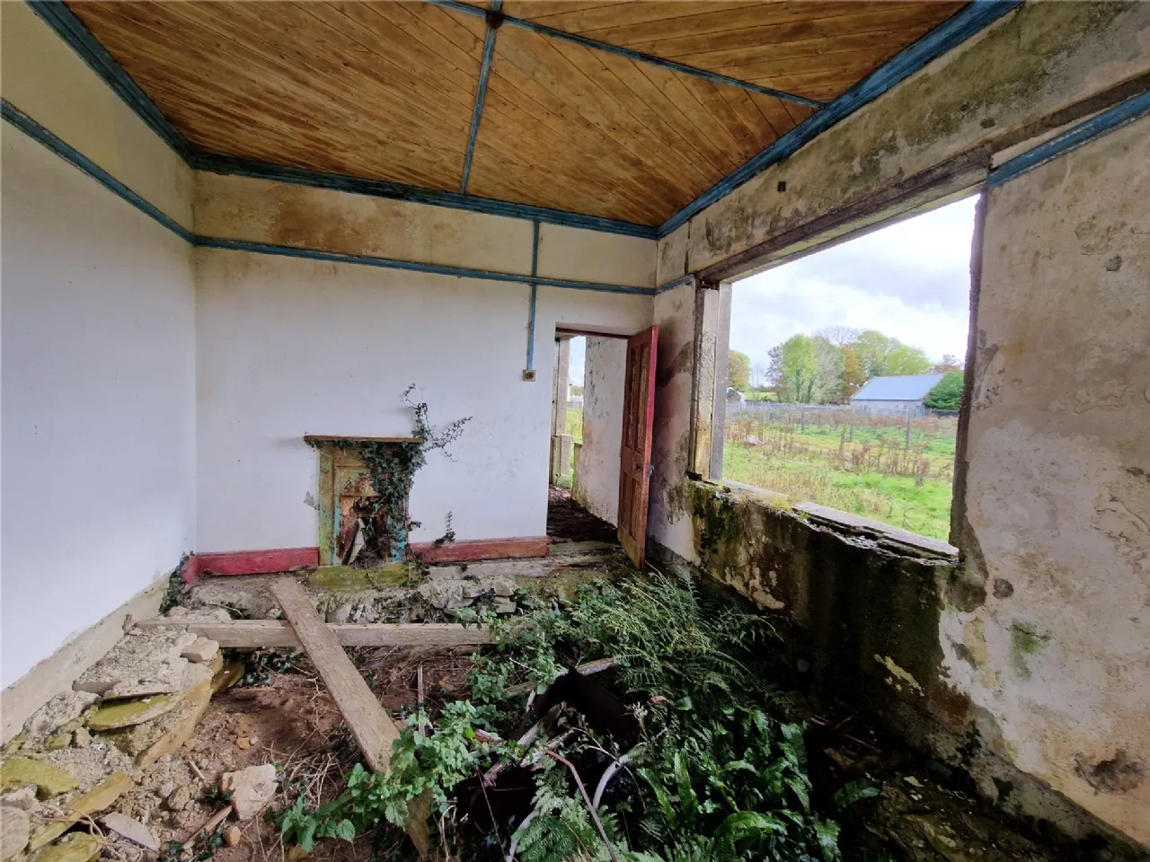 Photo of Woods, Midfield, Co Mayo